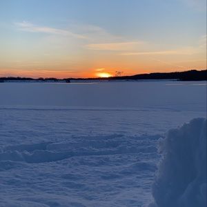 Meet your Posher, Mitch